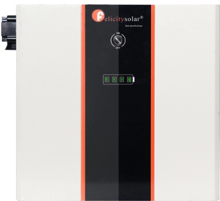felicity 24V 200Ah 4.8kWh LiFePO₄ Battery